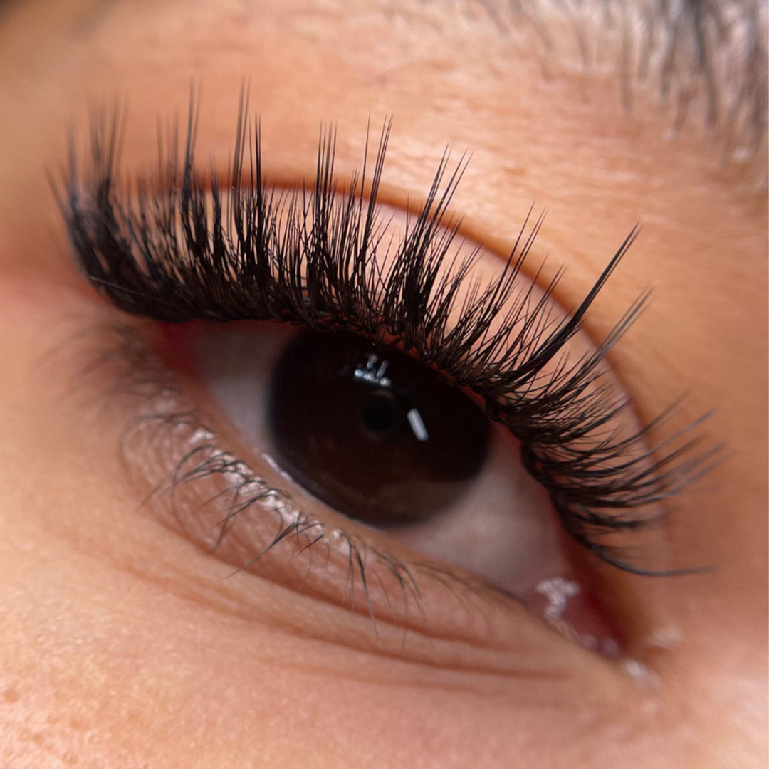 Kensington Lashes 0.085 - 20 Lash Lines