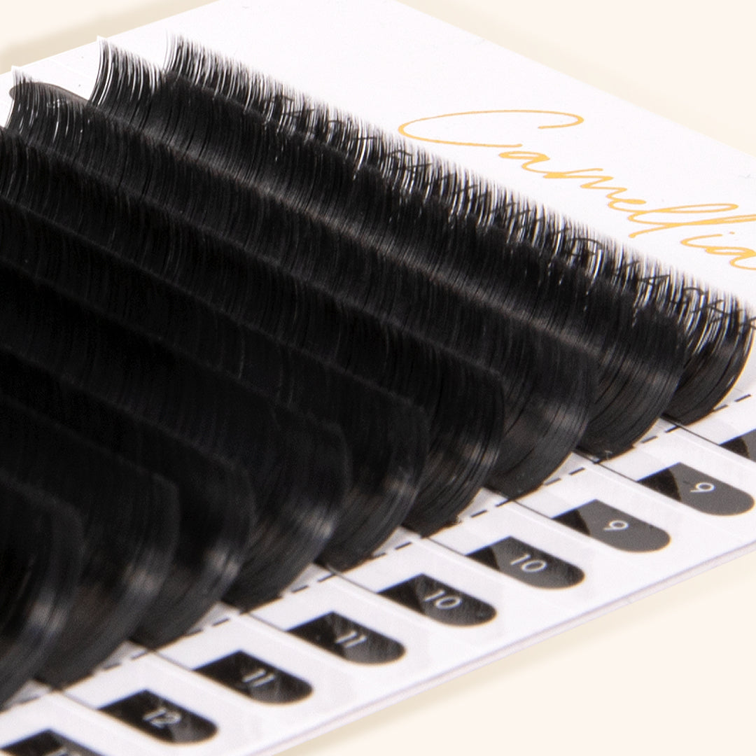 Camellia Easy Fanning Lashes from London Lash EU