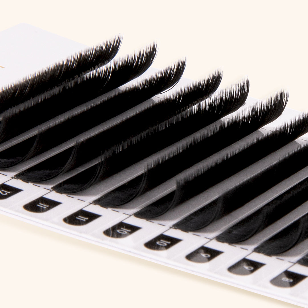 Lash Strips of Camellia Easy Fanning Eyelash Extensions