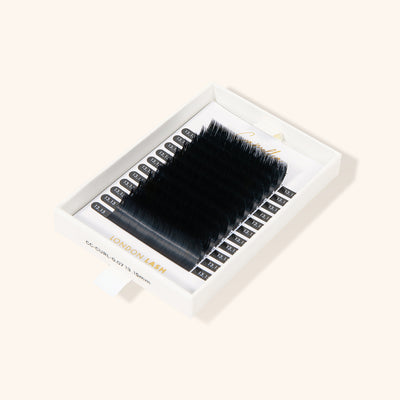 CAMELLIA EASY FANNING MEGA VOLUME LASHES IN 0.05 IN SINGLE SIZES