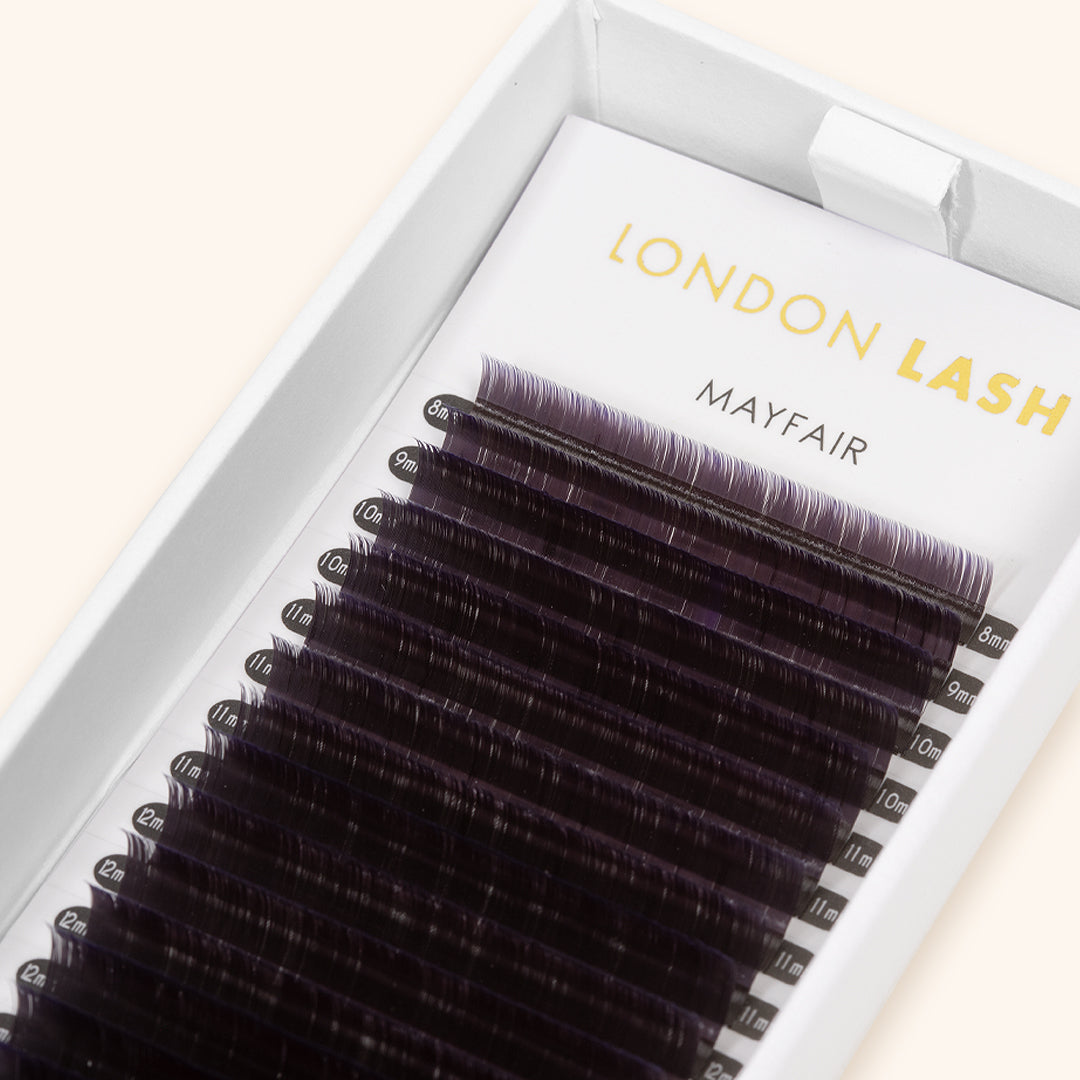 Violet Two-Tone Ombre Lashes 0.07 in Tray