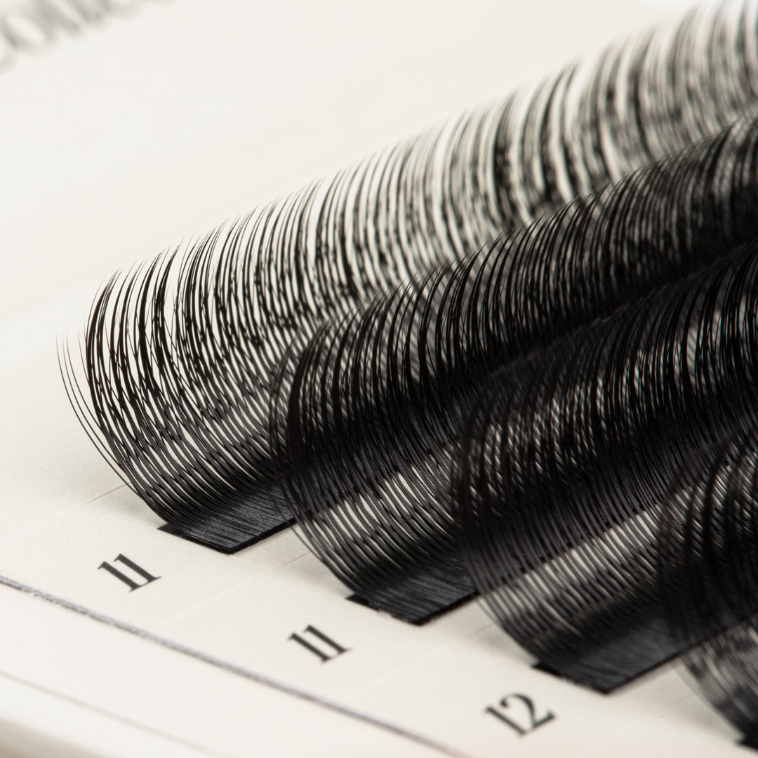 SpeedYY Lashes - 3DW with Spike