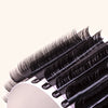 Volume Chelsea Lash Extensions