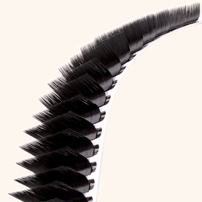 Close Up of Mega Volume Mayfair Lashes 0.03