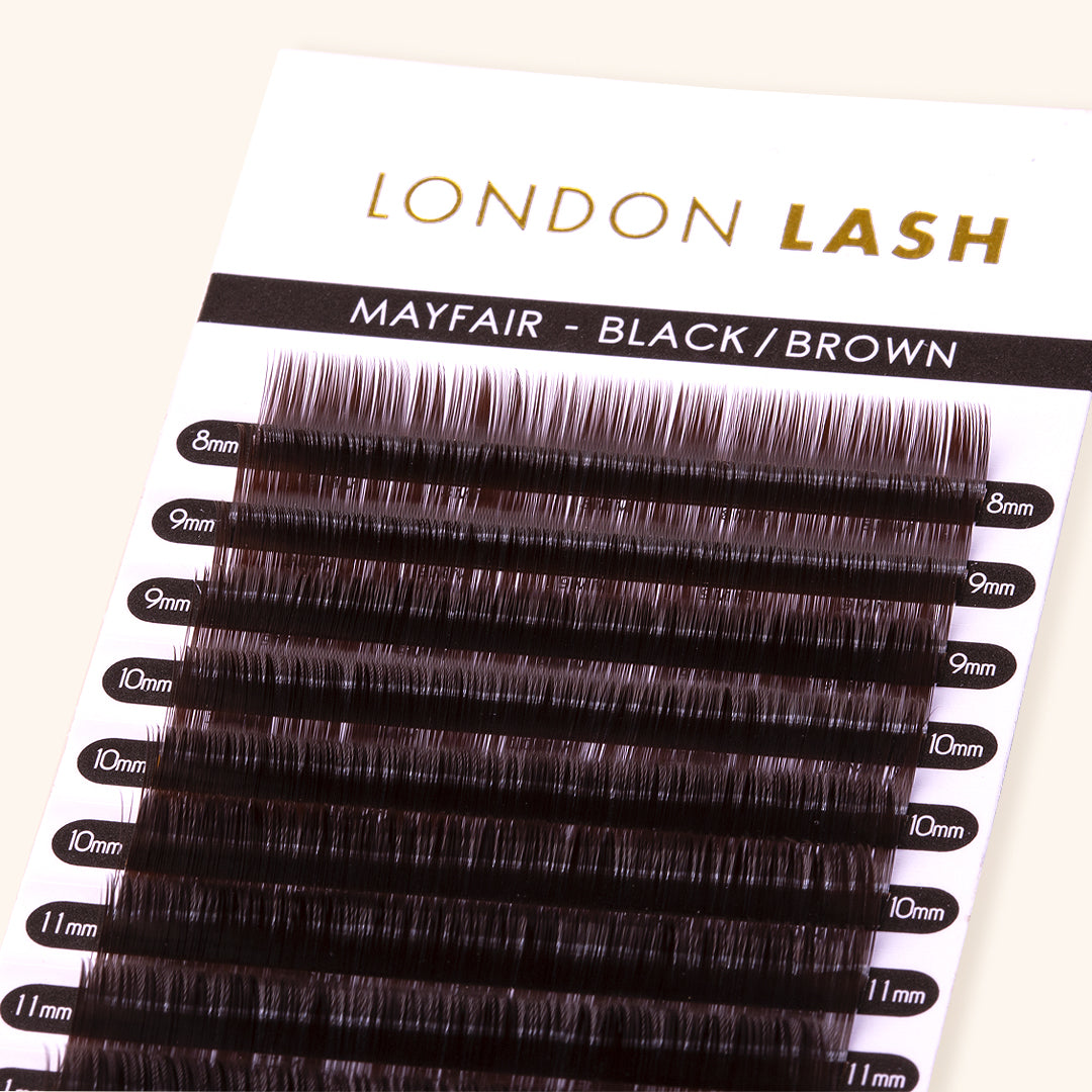 Close Up of Mega Volume Black Brown Mayfair Lashes 0.05